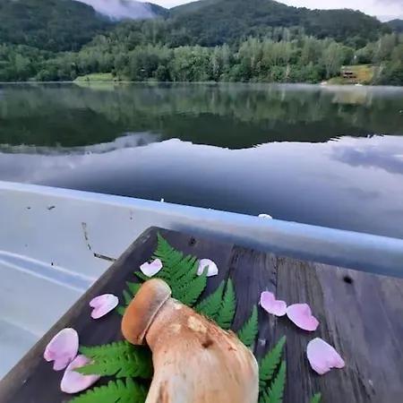 Brand New Chalet Inside Beautiful Nature